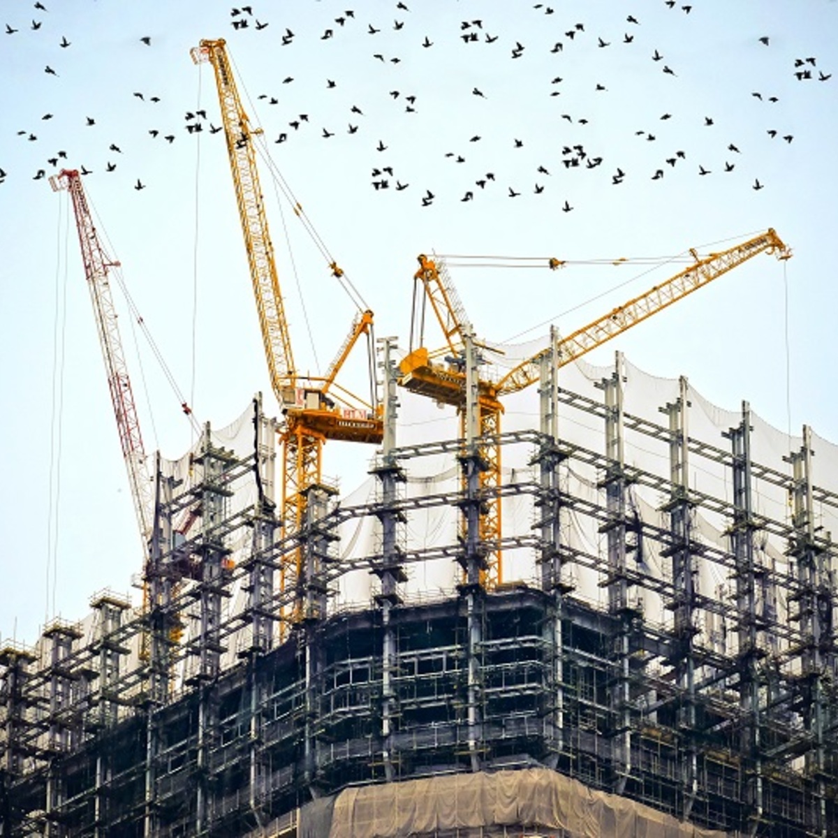آموزش ساختار کسب‌وکار: ایجاد چارچوب برای رشد تجاری
