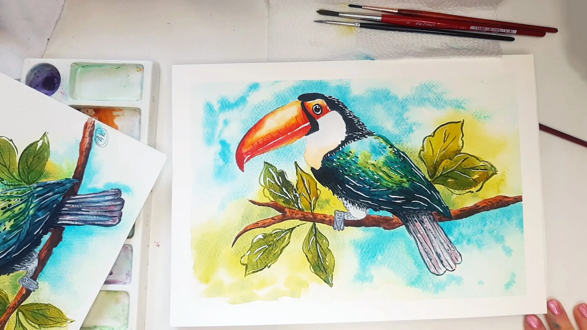 آموزش نقاشی آبرنگ توکان - گام به گام

