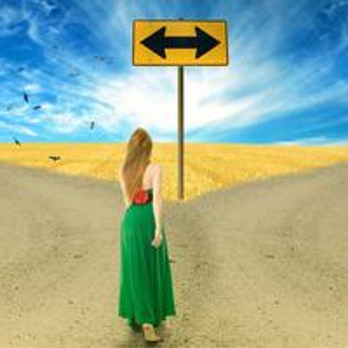 آموزش اصول اراده آزاد لیبرتارین