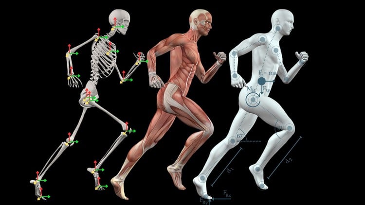 آموزش بیومکانیک: فیزیک حرکت انسان
