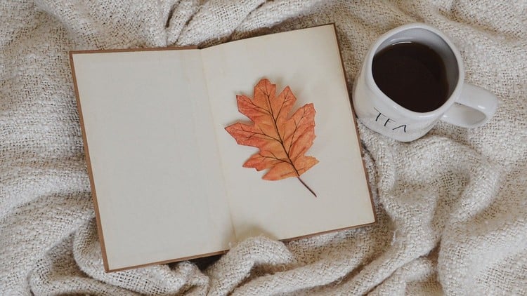 آموزش دیپلم آکسفورد: هنر درمانی: کتاب بسازید؛ کارگاه برگزار کنید!

