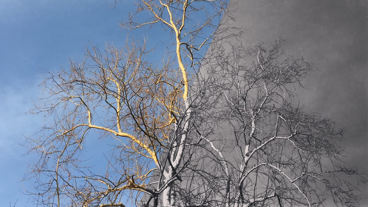 آموزش ویرایش عکس ساده در تلفن شما