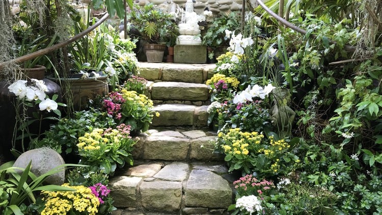 آموزش مرگ هراس، دولا مرگ

