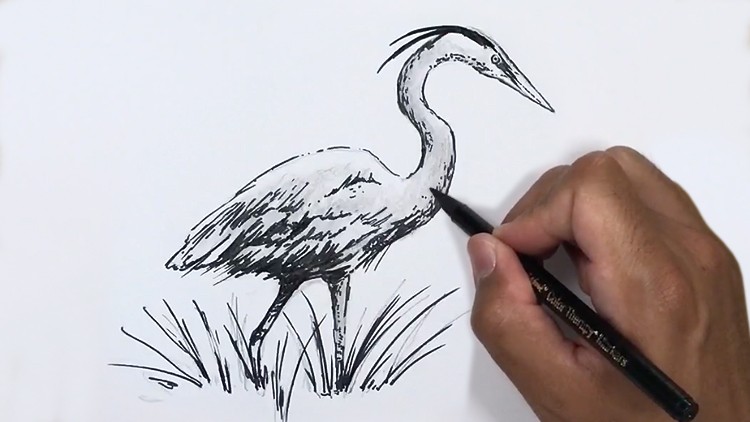 آموزش بوت‌کمپ هنر و طراحی: چالش ایجاد عادات روزانه
