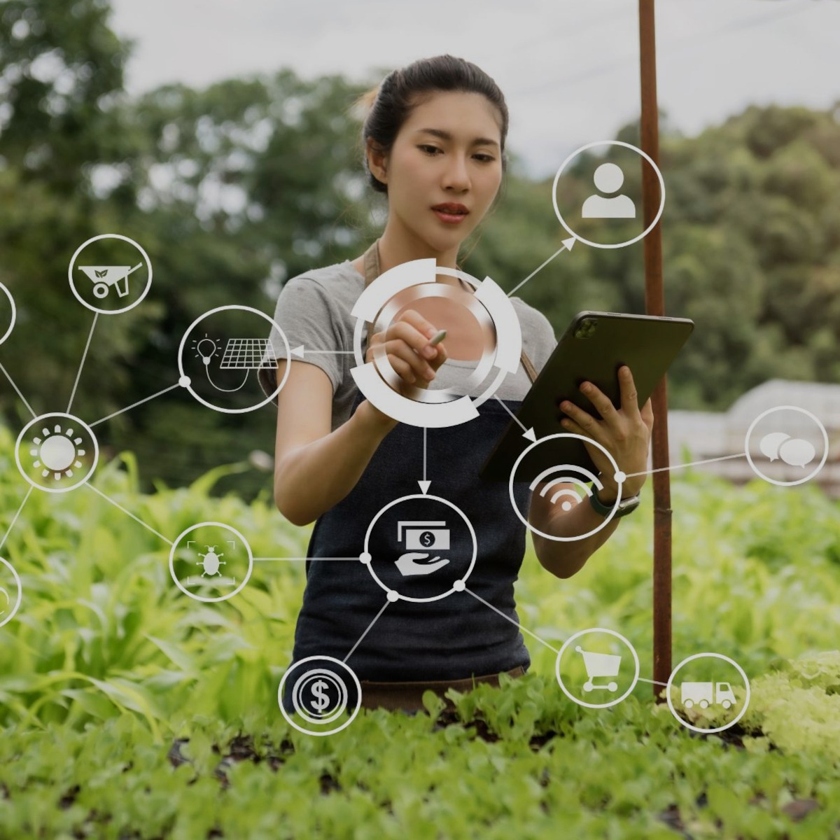 آموزش کشاورزی هوشمند مبتنی بر اینترنت اشیا (IoT)