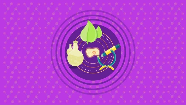 آموزش زیست‌شناسی عمومی ۱: مبانی زیست‌شناسی
