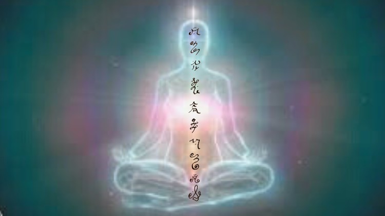 آموزش دوره جذب زبان نور
