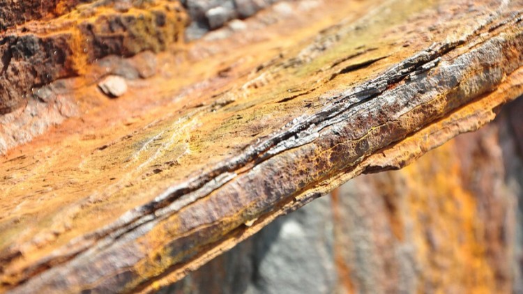 آموزش مکانیزم‌های آسیب - ماژول ۲
