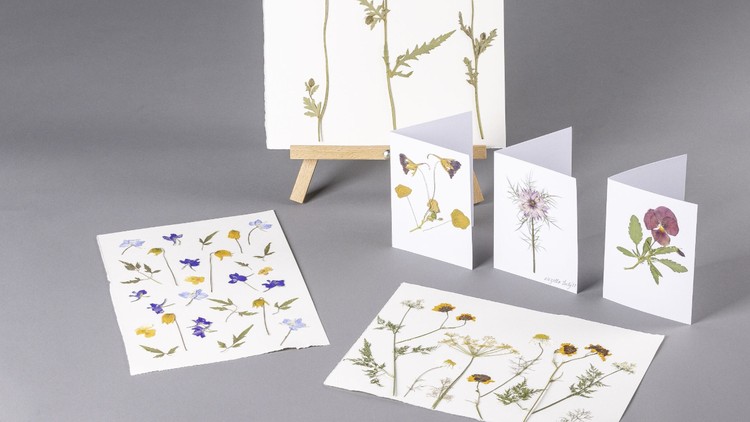 آموزش هنر گل و برگ فشرده شده - دوره آنلاین Kew
