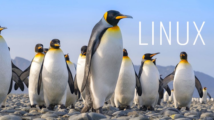 آموزش نقشه راه کامل مدیریت پیشرفته لینوکس: از مبتدی تا حرفه‌ای

