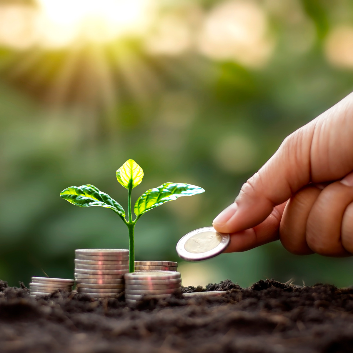 آموزش مدیریت ثروت | Wealth Management