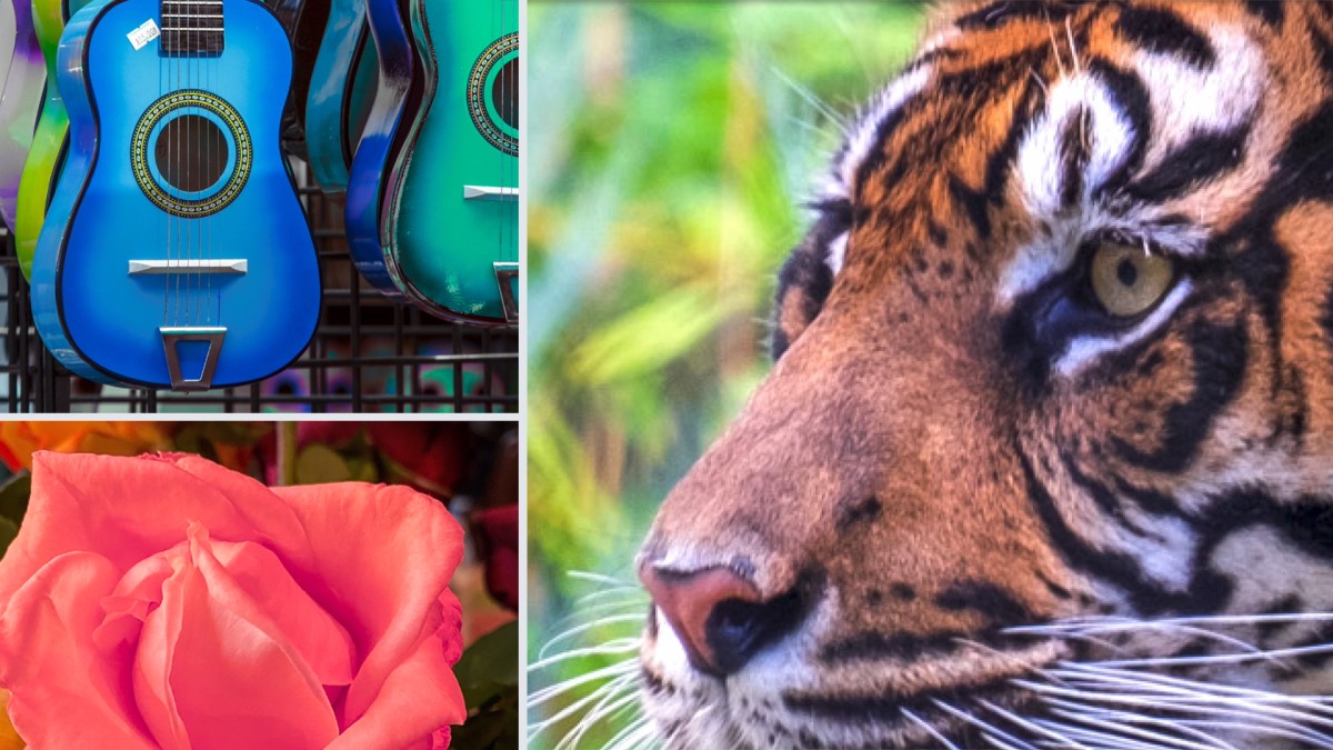 آموزش Photoshop and Lightroom: Masking Essentials