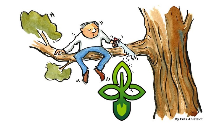 آموزش هر آنچه باید درباره هرس درختان و درختچه‌ها بدانید
