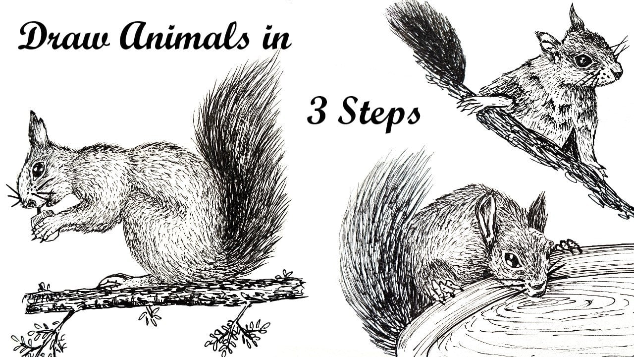 آموزش جوهر و خز: سنجاب واقع‌گرایانه با قلم‌های ریز بکشید
