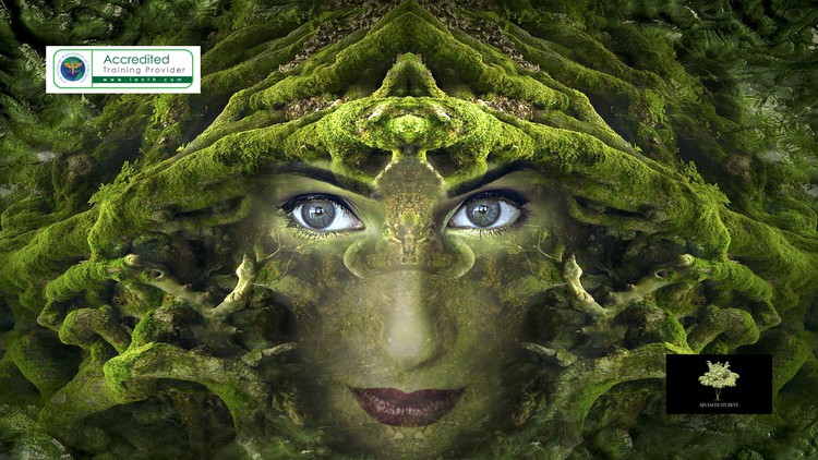 آموزش مربی اعتماد به نفس و توانمندسازی | دارای گواهینامه معتبر
