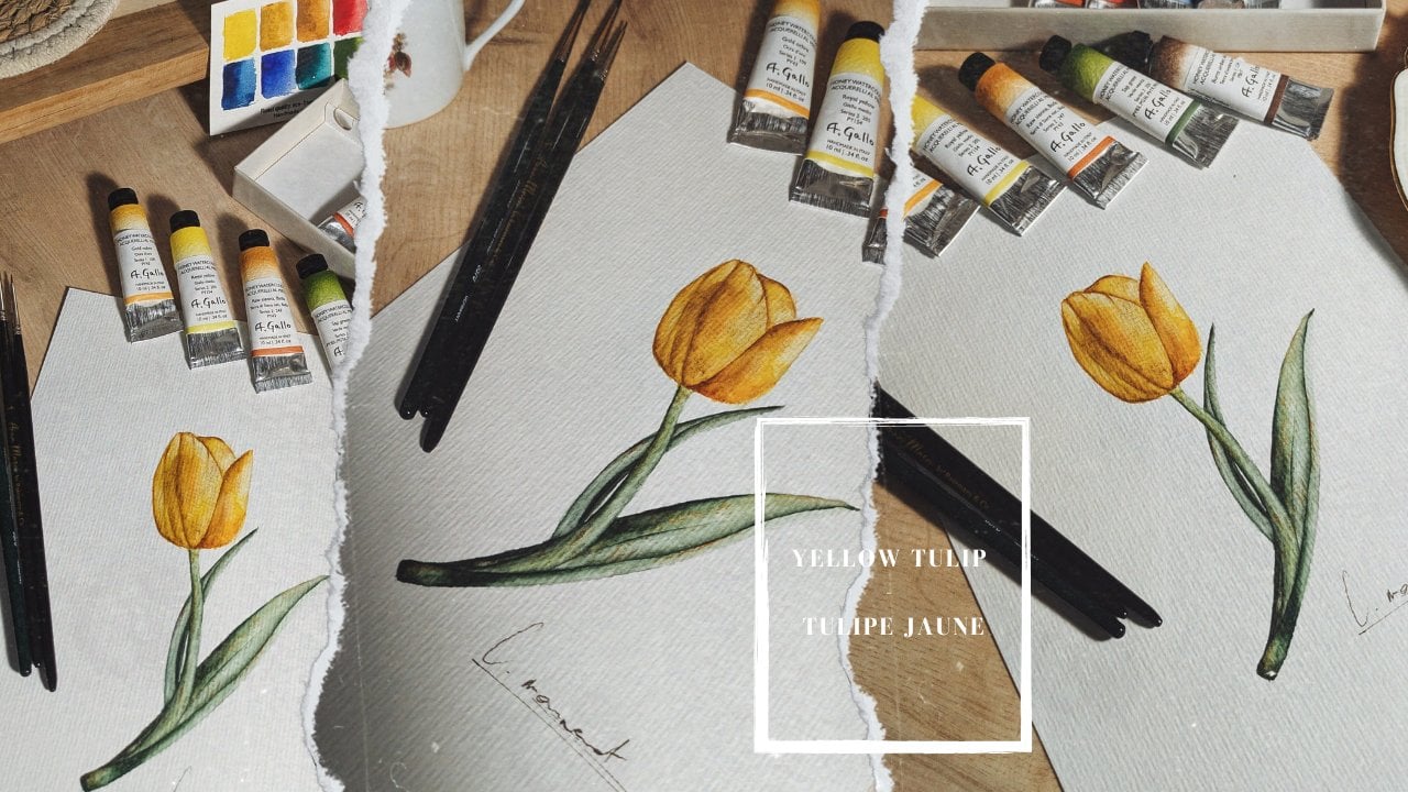 آموزش لاله زرد آبرنگی واقع‌گرایانه، سایه، نور و بافت برای تمام سطوح
