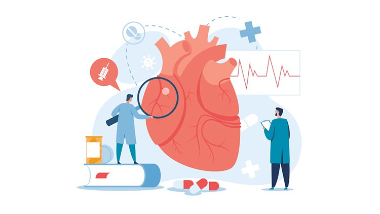 آموزش دوره قلب و عروق - تسلط بر بیماری‌های قلبی و درمان‌ها

