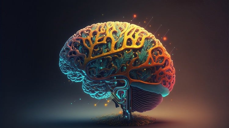 آموزش IQ خود را با راهنمایی یک عضو رسمی و معتبر منسا تقویت کنید.
