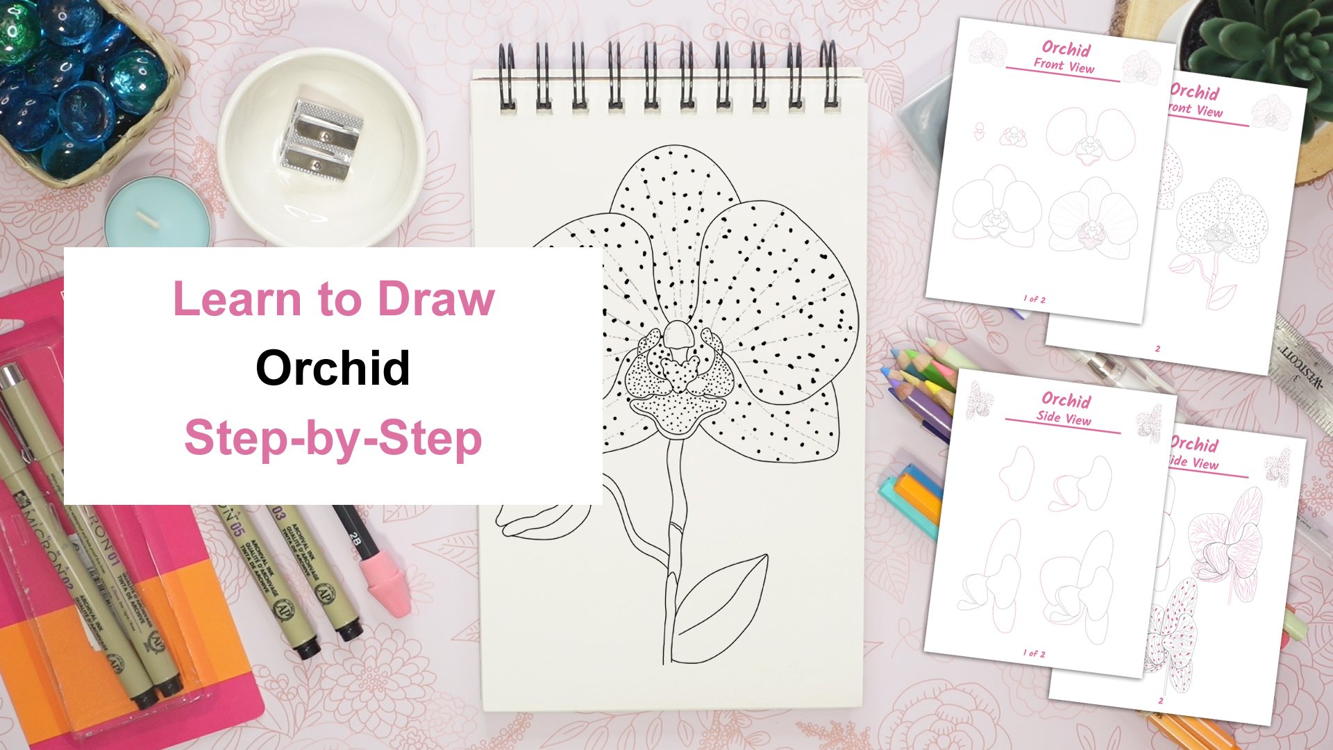 آموزش گام به گام نقاشی ارکیده: راهنمای مصور زیباترین گل‌ها
