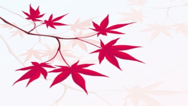 آموزش ماساژ صورت ژاپنی سوبوکی
