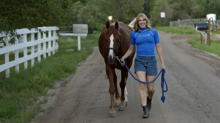 آموزش ضروری اسب‌سواری: نحوه در دست گرفتن و سواری بر اسب
