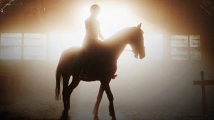 آموزش مؤثر خواندن فرم اسب دوانی بریتانیا
