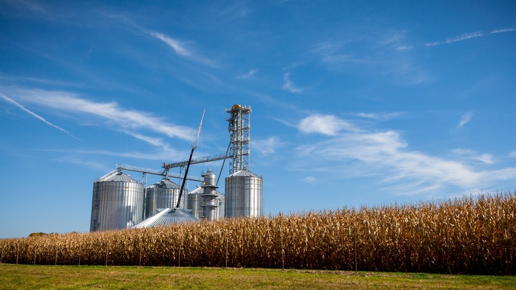 آموزش از صفر تا قهرمان در کسب و کار کشاورزی غلات کالایی
