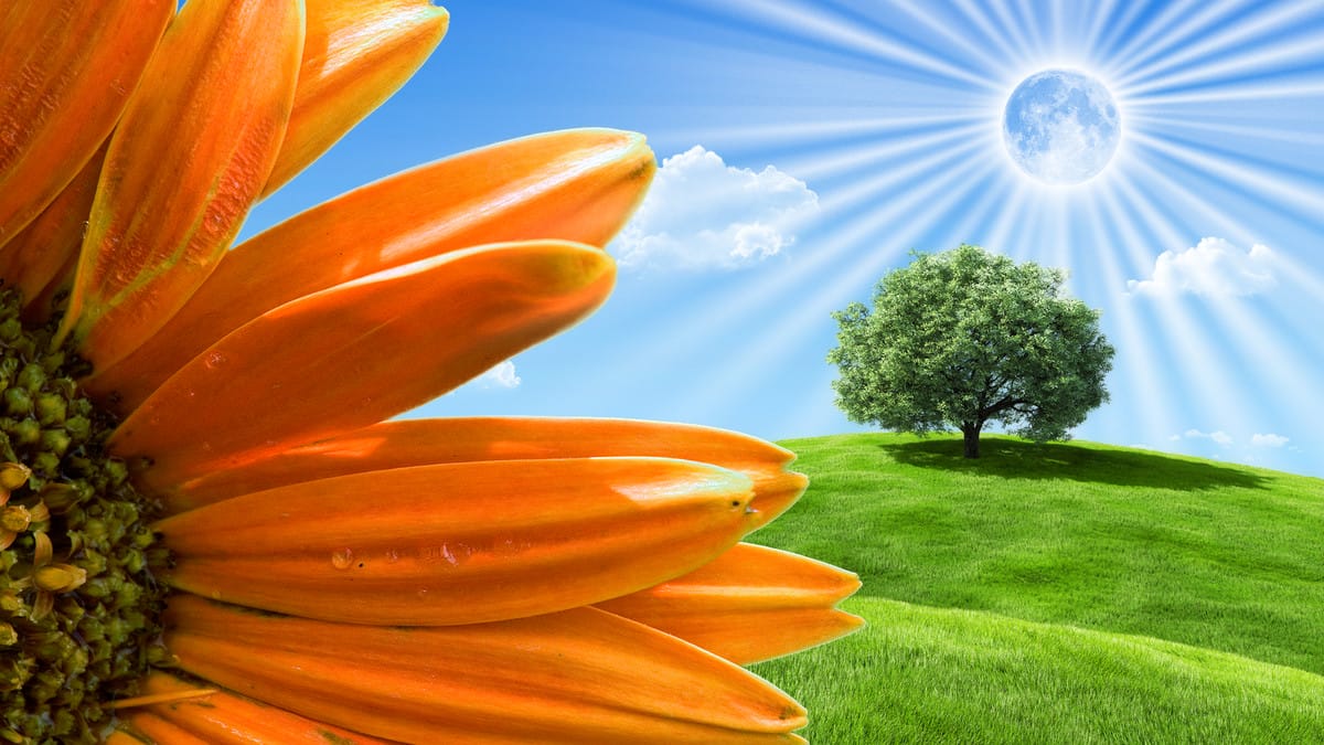 آموزش فتوشاپ CS6 یک به یک: اصول