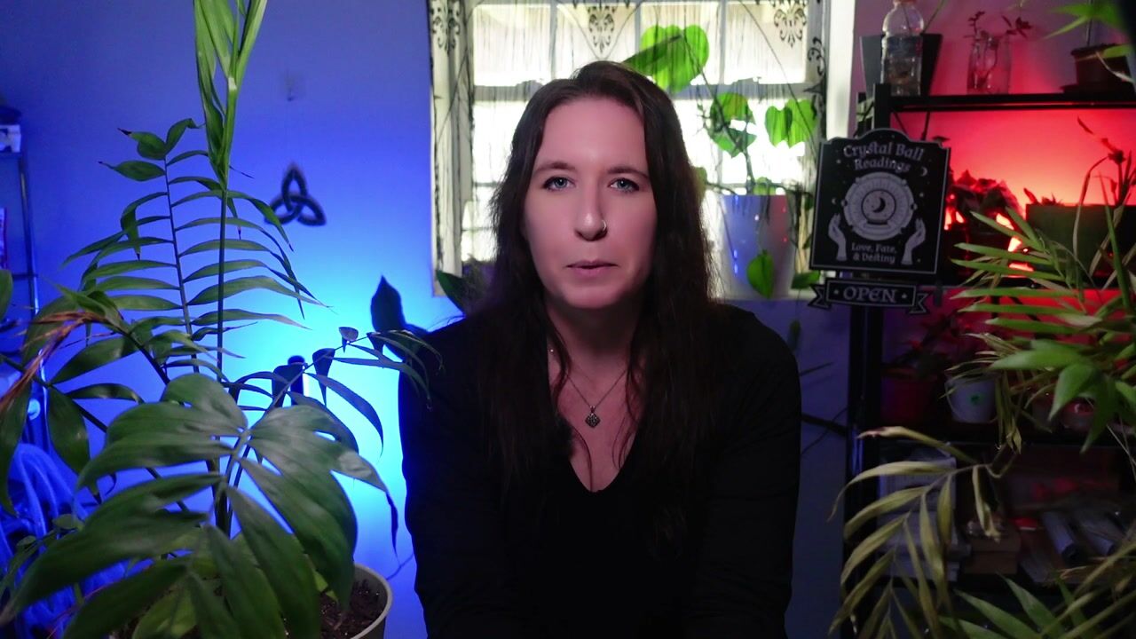 آموزش گیاهان بیشتر، لطفا! نحوه ایجاد گیاهان جدید با تکثیر