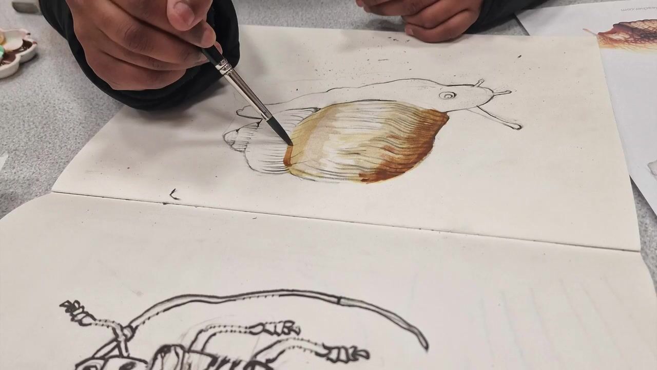 آموزش طراحی با مداد شل و رها: یک چالش 7 روزه

