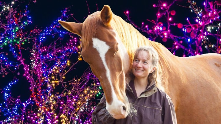 آموزش ارتباط با اسب
