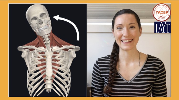 آموزش آناتومی کاربردی یوگا: ۱۰۱ زبان آناتومی و حرکت
