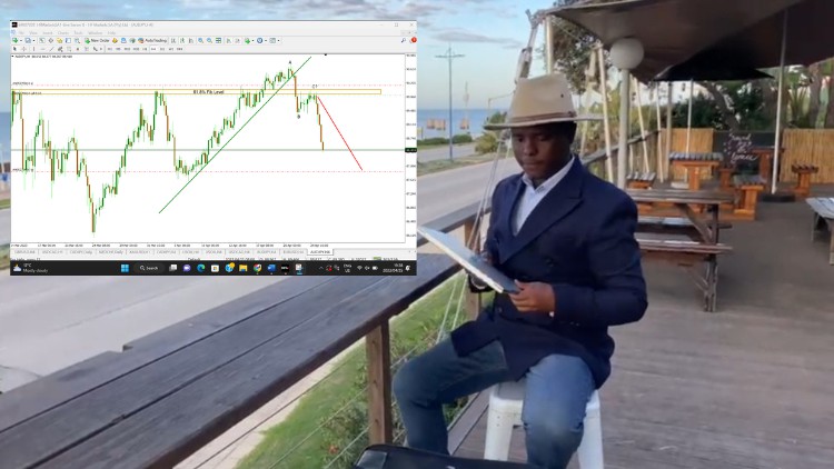 دوره آموزش فارکس صفر تا صد هزار دلار: اسرار بانک‌های بزرگ
