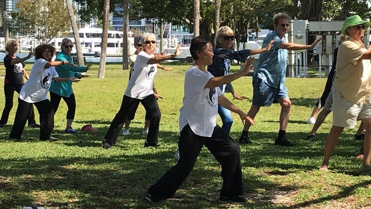 آموزش مربی چی کونگ - سطح یک (قسمت دوم از دو)
