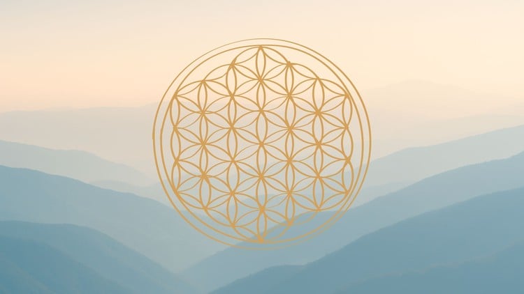 آموزش کارآفرین معنوی: تبدیل رسالت به حرفه

