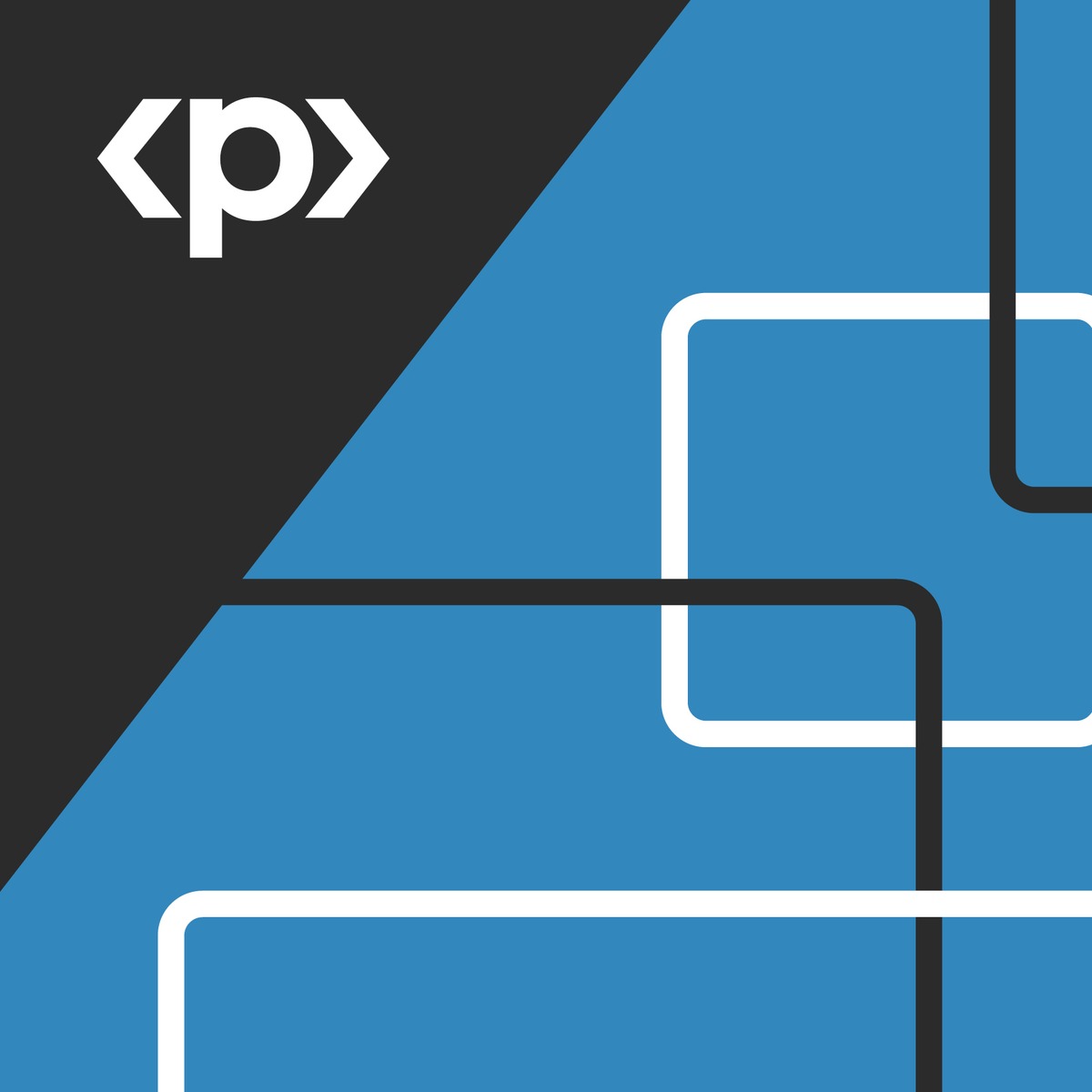 آموزش اصول مدیریت برنامه (Program Manager Essentials)