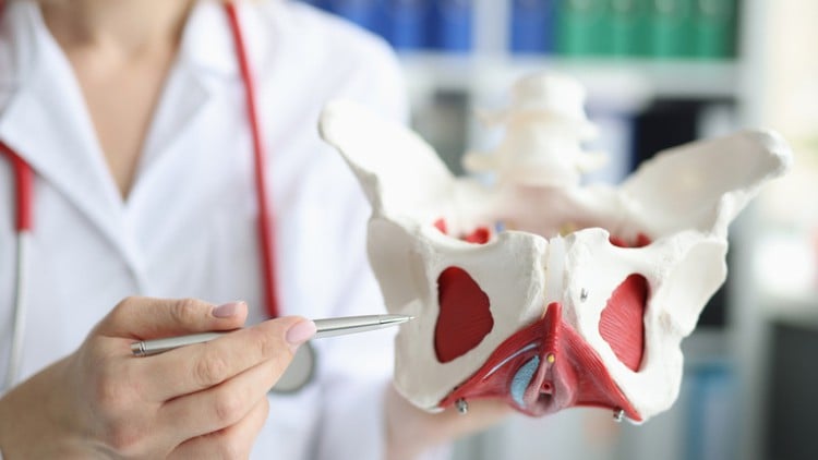 دوره آموزشی گواهینامه ماساژ درمانی سلامت لگن (۲ واحد آموزش مداوم)
