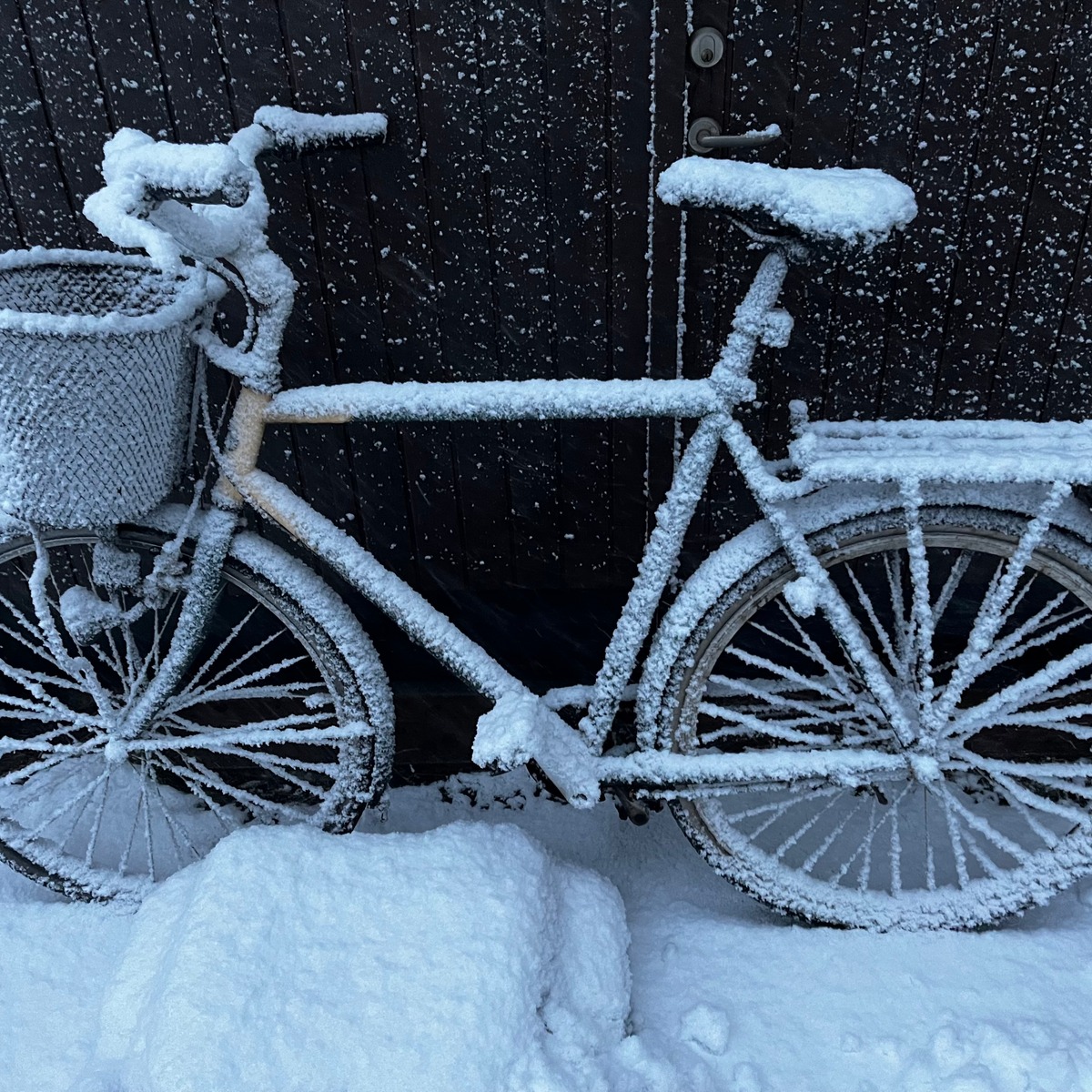 آموزش اقلیم، محیط زیست و سلامت