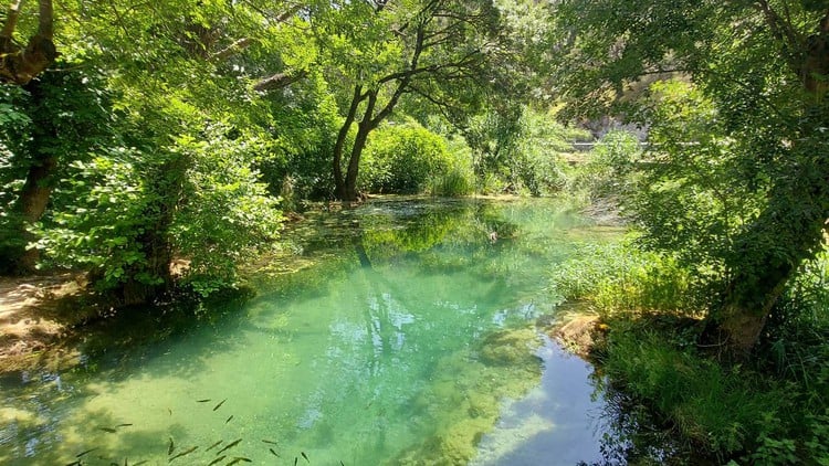 آموزش پردازش و تعدیل حسی در کاردرمانی
