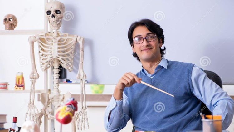 آموزش راهنمای جامع و نهایی یادگیری آناتومی بدن انسان برای دانشجویان پزشکی

