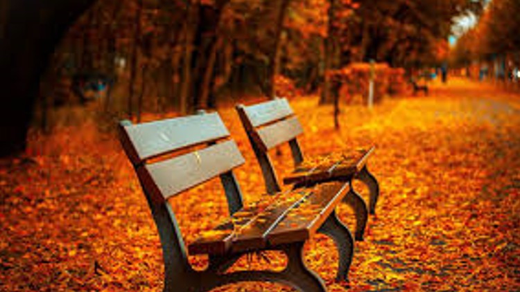 آموزش SAP Controlling در S/4HANA 2023: آخرین مباحث و بحث‌ها
