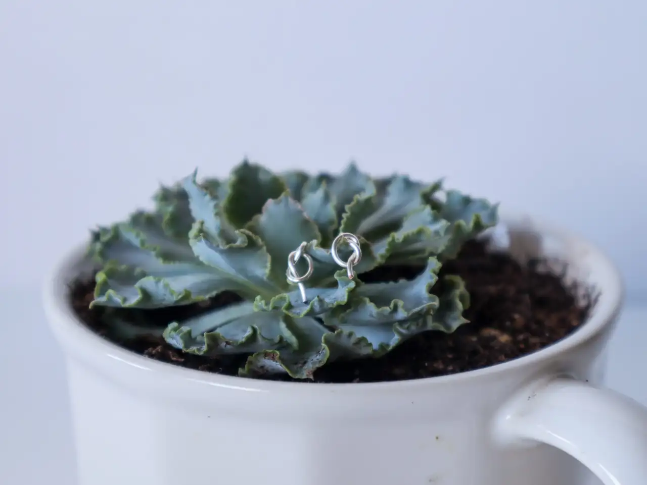 آموزش گوشواره میخی سیمی: گل سینه گره‌دار
