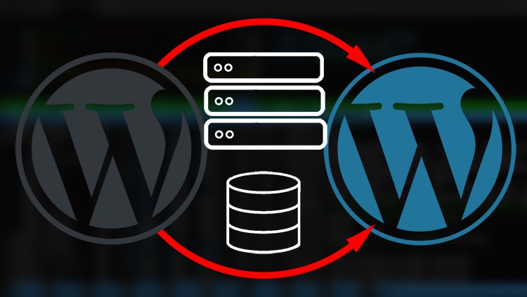آموزش وردپرس: مهاجرت حرفه ای

