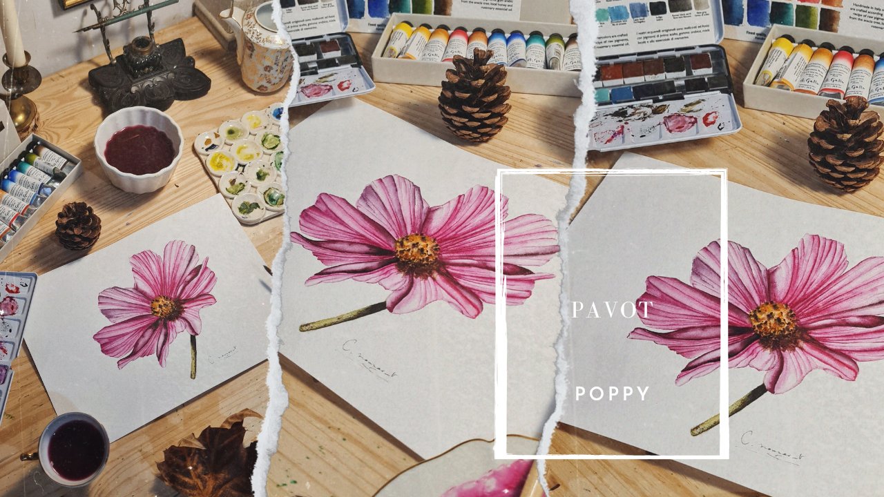 آموزش Fleur Pavot Réaliste à l'Aquarelle pour tous les niveaux