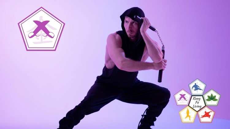 آموزش یادگیری نانچیکو - از مبتدی تا پیشرفته

