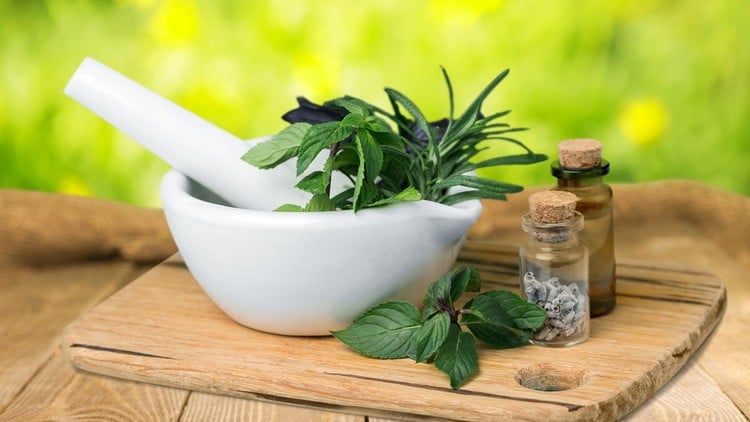 آموزش گیاه درمانی :: معرفی و گواهینامه ساخت دارو
