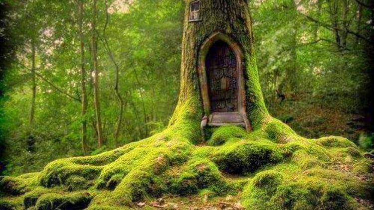 آموزش سفر شمنی به دنیاهای پایین، میانی و بالا
