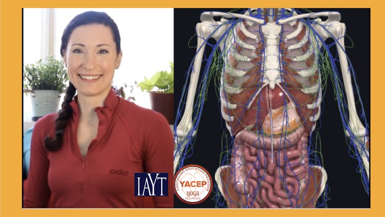 آموزش آناتومی یوگا ۳: سری کارگاه‌های تربیت مدرس
