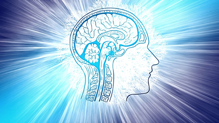 آموزش برنامه کامل هیپنوتراپی مکالمه‌ای پیشرفته

