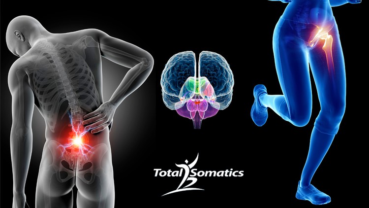 آموزش رهایی از سفتی لگن و کمر با حرکات بالینی سوماتیک
